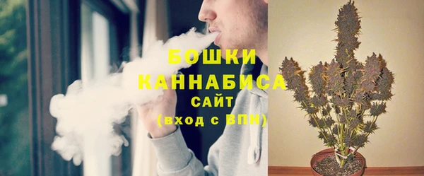 стаф Ладушкин