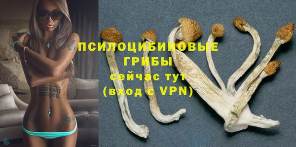 стаф Лабытнанги