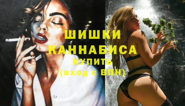 стаф Ладушкин