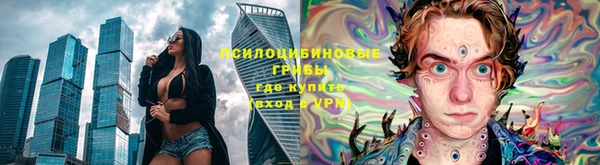 стаф Лабытнанги