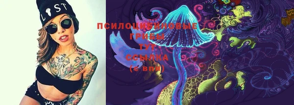 тгк Михайловск