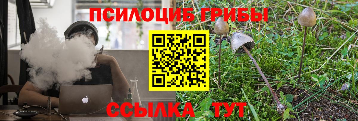 Галлюциногенные грибы Psilocybe Брянск