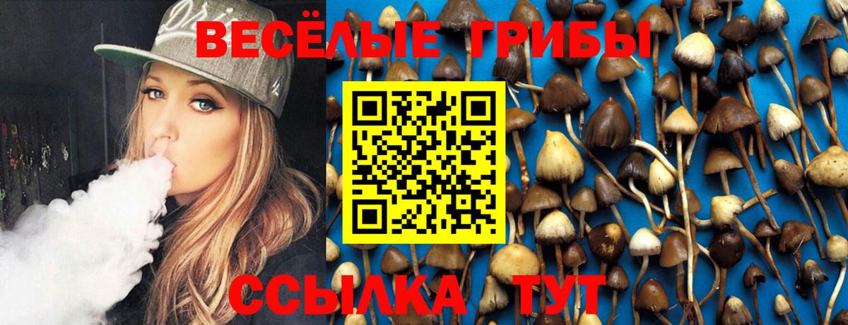 купить наркоту  Псилоцибиновые грибы Cubensis  Вход с VPN  Брянск 